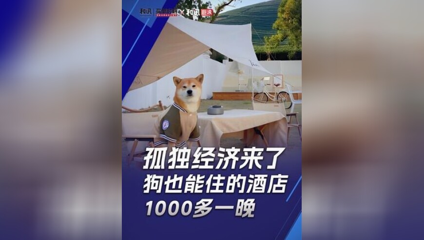 澳门一宵一码期期准,宠物豪华送别仪式要价9880元,权威独家讨论与热门话题_权威版V6.97
