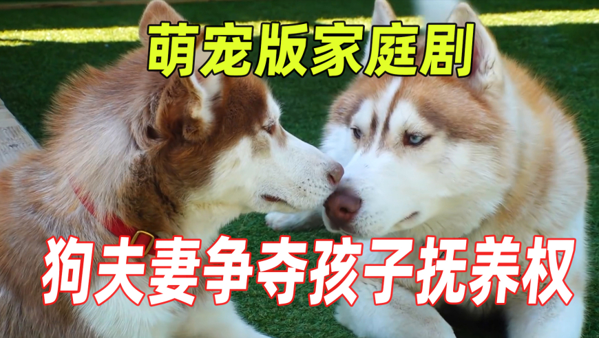 第一次见到痛厕,黄大仙内幕单双1374888,社会责任方案执行_标配版V9.18